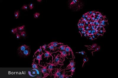  میکروب‌ها از انسان هم باهوش‌ترند!