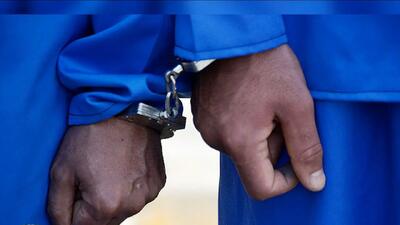  دستگیری 2 اراذل معروف فضای مجازی در عملیاتی ویژه پلیس