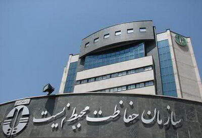  واکنش سازمان محیط زیست به گزارش مجلس درباره آتش‌سوزی جنگل‌های الیت