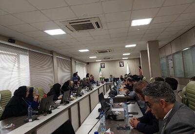  ۳۷۵۰ تُن مقوا ۲۰ روزه آب شد! / مقوا، حلقه گمشده سیاست