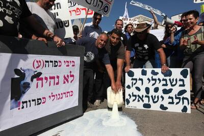  اعتراض دامداران اسرائیلی / بحران لبنیات به خیابان‌ها کشیده شد + فیلم