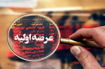  عرضه اولیه درپاد کشف قیمت شد