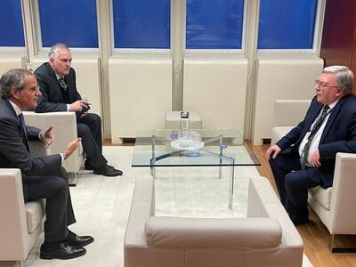  رایزنی اولیانوف و گروسی درباره ایران و اوکراین