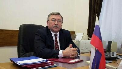  نماینده دائم روسیه: تلاش برای اعمال فشار بر مسکو از طریق برگزاری نشست فوق‌العاده شورای حکام آژانس بین‌المللی انرژی اتمی ناکام ماند