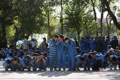  ۱۵۰ نفر و کشف سلاح و مواد مخدر در بوستان‌های پایتخت دستگیر شدند