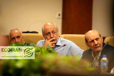  نیلی: تا به ‌امروز سیاستمدار ما خودش نشسته و قیمت تعیین کرده است، به همین دلیل هیچ تمرینی برای نظام تک‌نرخی و تن دادن به قیمت بازار ندارد