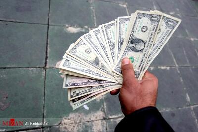  حذف ارز ترجیحی گامی مهم در شفاف‌سازی اقتصادی و حمایت هدفمند از مردم