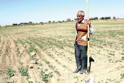  حمایت از مردم نباید از جیب کشاورز باشد