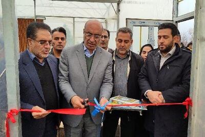  توسعه کشت‌های گلخانه‌ای برای کشاورزی استان ضروری است