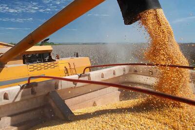  تصمیم جنجالی دولت/ آزمایش مجدد واردات دامی حذف شد