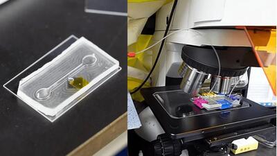  پاک‌سازی پنج‌دقیقه‌ای آب‌وخاک با یک تراشه - ایران ویو 24