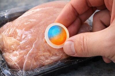  ایروژل‌های هوشمند برای تشخیص فساد مواد غذایی طراحی شدند