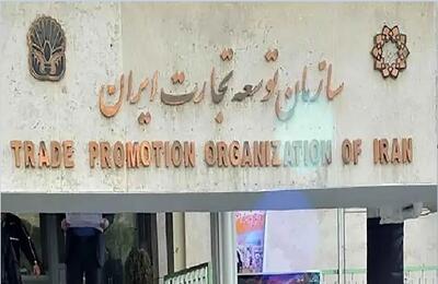  تجارت زیر سایه «سربازان سفید» / چگونه شرکت‌های کاغذی از فیلتر سازمان توسعه تجارت رد می‌شوند؟