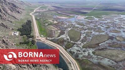  حیات دوباره در قلب تالاب «هشیلان»/ «سراب یاوری» جان گرفت