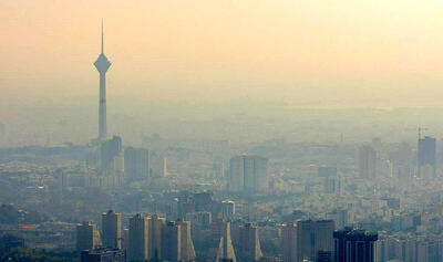  بلای هشت سال ترک فعل