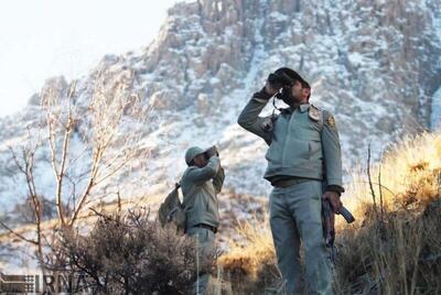  ۲۰۰ نیروی جدید سازمان محیط زیست تا تابستان سال آینده جذب می‌شود - ایران ویو 24