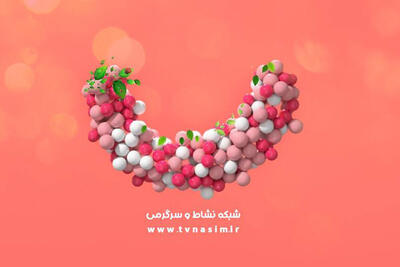  اعلام برنامه‌های رمضای شبکه نسیم