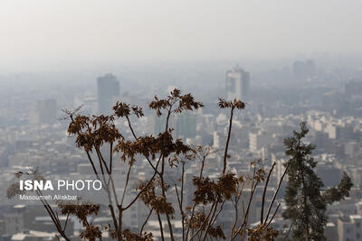  سیاهه جدید انتشار آلودگی هوای شهرها در سال آینده رونمایی می شود