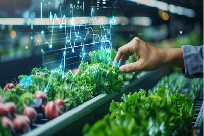  ورود هوش مصنوعی به اتاق تصمیم وزارت جهادکشاورزی؛ از تحلیل قوانین تا پایش نیروی انسانی