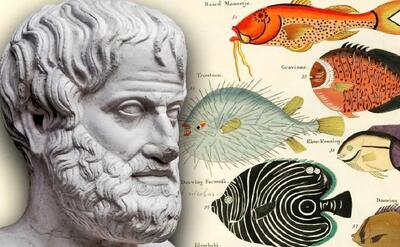  ارسطو چگونه به شکل‌گیری «زیست‌شناسی» کمک کرد؟