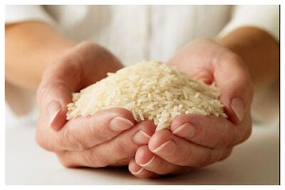  قیمت برنج کاهش یافت / هر کیلو برنج ایرانی چند؟