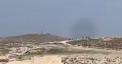  حمله شهرک‌نشینان به شمال شرق قدس و سرقت ده‌ها راس دام