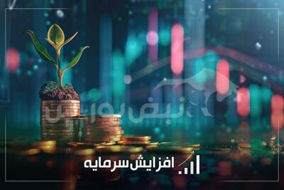  ثبت و صدور مجوز افزایش سرمایه‌ها در بازار سرمایه؛ از افزایش سرمایه ۷درصدی تا ۱۹۰۰درصدی چند نماد