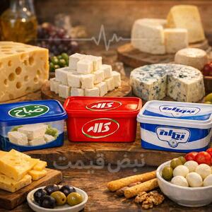  شوک در قیمت پنیر؛ دامداران دلیل کمبود شیر خام در فصل سرما و تأثیر آن بر بازار را اعلام کردند | قیمت انواع پنیر و کارخانجات ۲ اسفند ۱۴۰۴ +(قیمت پنیر امروز شنبه ۲ اسفند ۱۴۰۴)