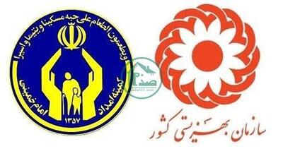  مبلغ عیدی مددجویان بهزیستی و کمیته امداد چقدر است؟