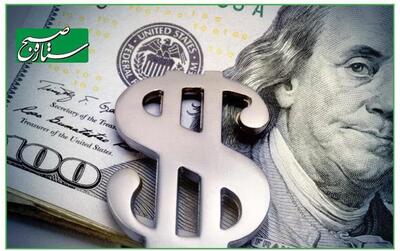  تک نرخی شدن ارز اقتصاد را پایدار و شفاف می کند